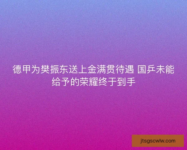 德甲为樊振东送上金满贯待遇 国乒未能给予的荣耀终于到手